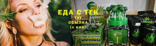 хмурый Арсеньев