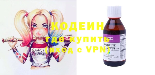 винт Няндома