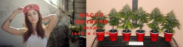 винт Няндома