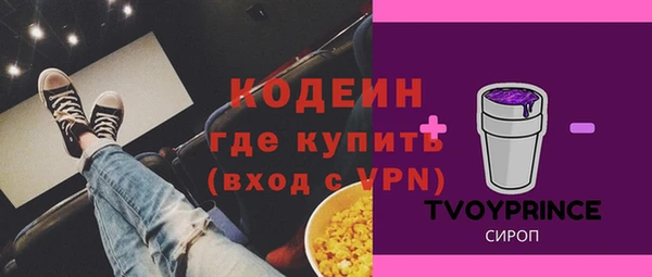 хмурый Арсеньев