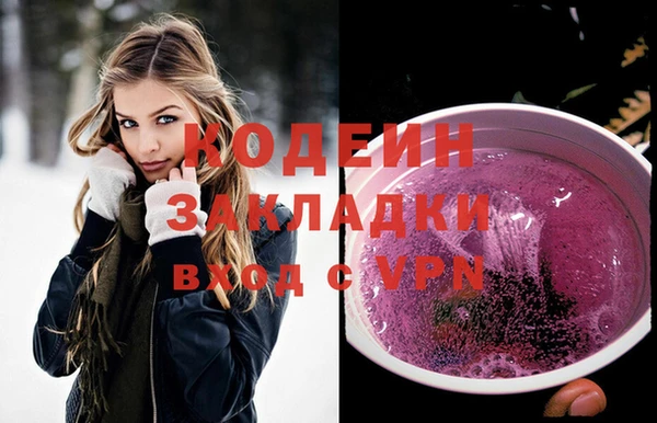 хмурый Арсеньев