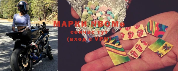 хмурый Арсеньев