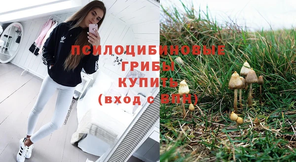 дмт Аркадак