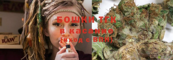 хмурый Арсеньев