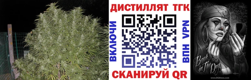 где продают наркотики  Гатчина  ТГК THC oil 
