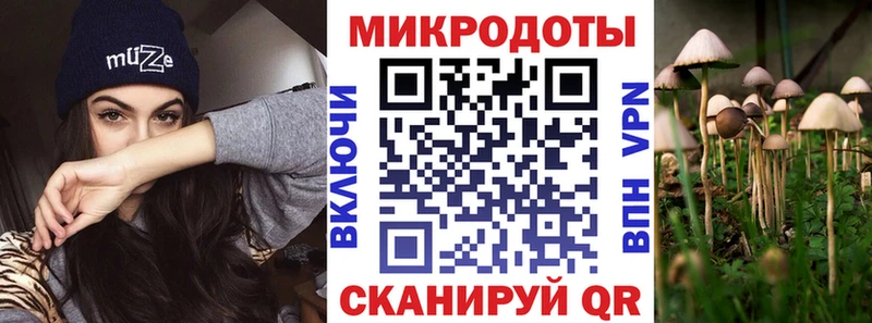 Галлюциногенные грибы Psilocybine cubensis  Гатчина 