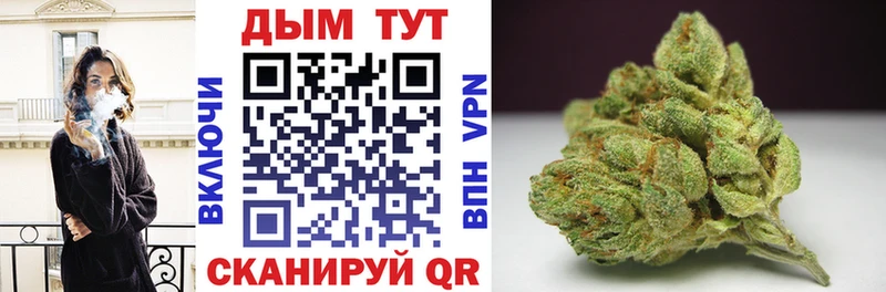 Конопля Bruce Banner  Гатчина 